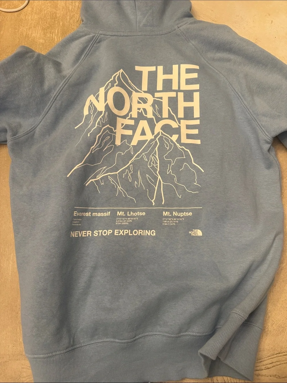 The North Face Dusty Blue Pullover Hoodie